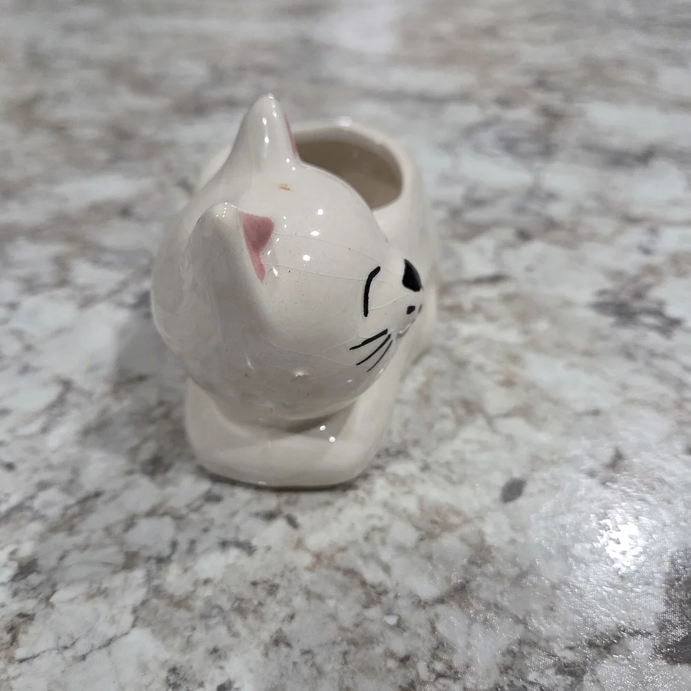 N/A cute cream